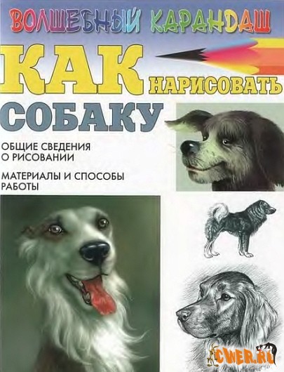 Как нарисовать собаку