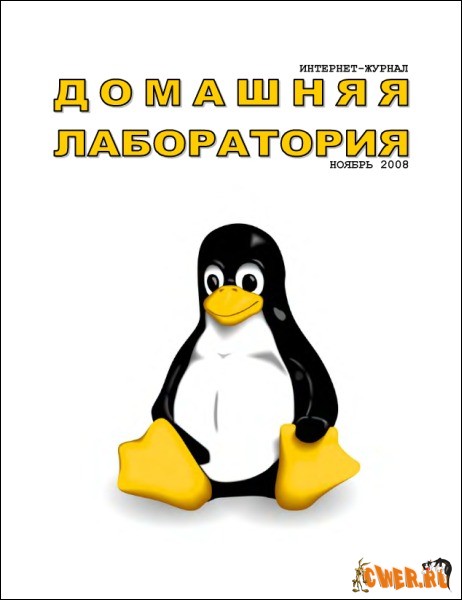 Домашняя лаборатория №11 (ноябрь) 2008