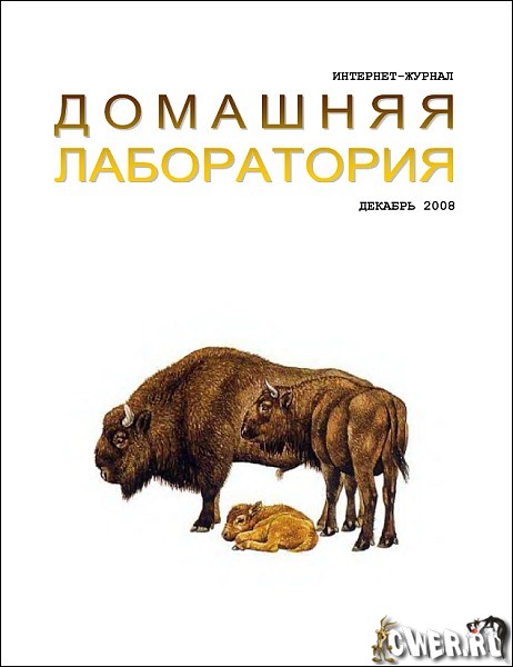 Домашняя лаборатория №12 (декабрь) 2008