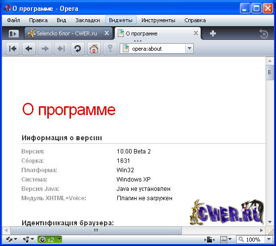 Opera Turbo 10.00 Build 1631 Beta 2