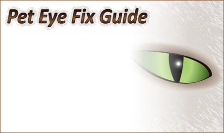 Pet Eye Fix Guide