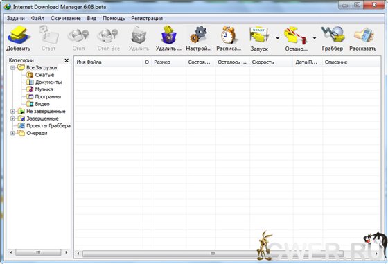 Internet Download Manager