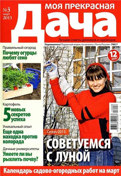 Моя прекрасная дача №3 2013