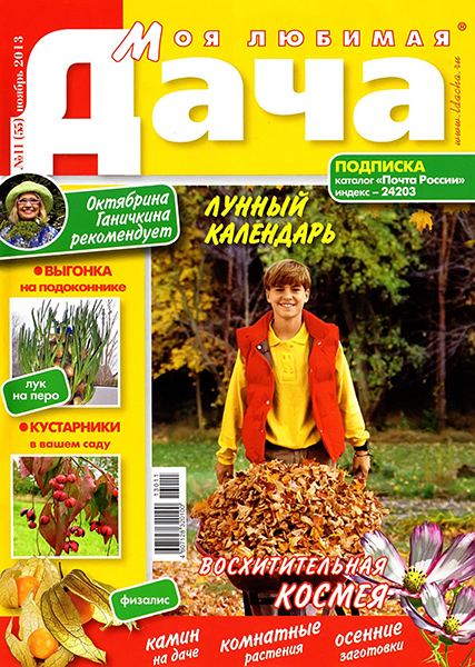 Моя любимая дача №11 2013