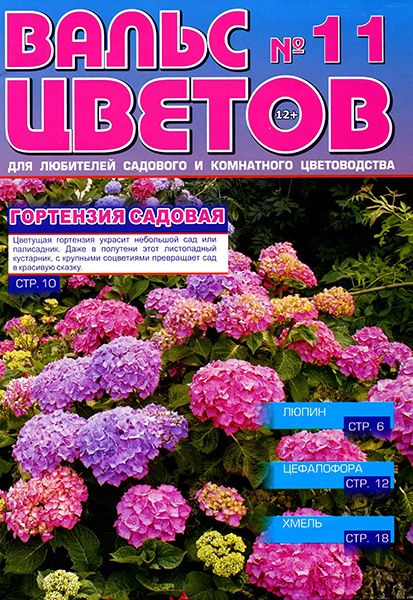 Вальс цветов №11 2014