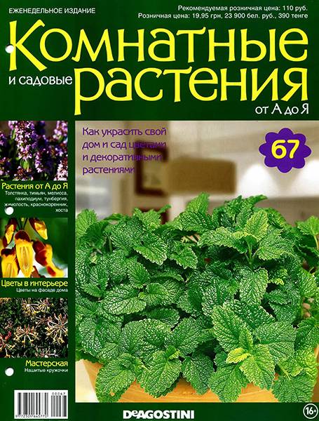 Комнатные и садовые растения от А до Я №67 2015