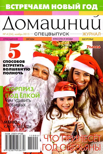 Домашний. Спецвыпуск №4 2015