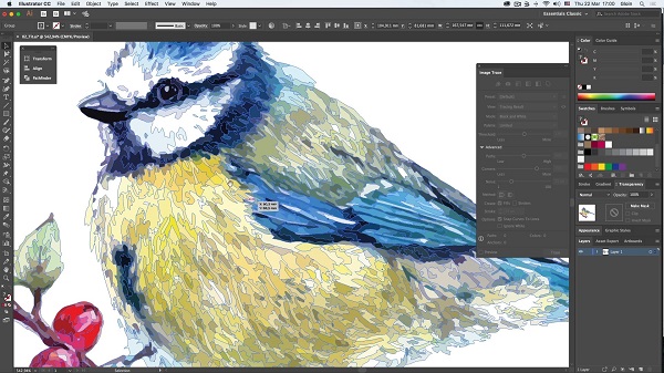 Векторная графика в Adobe Illustrator СС1