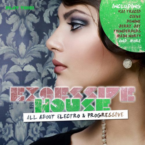 Excessive House: All About Electro and Progressive