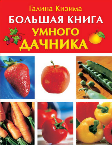 Большая книга умного дачника