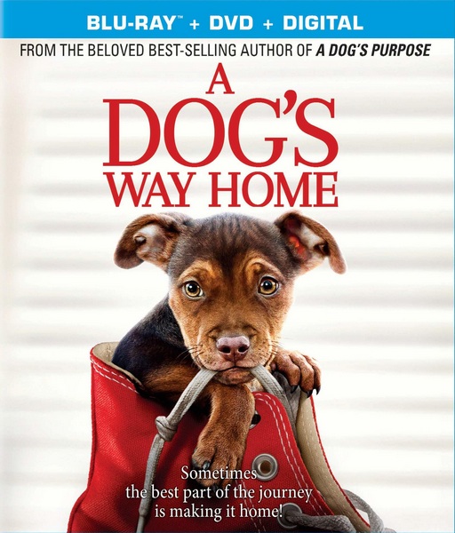 A Dog's Way Home