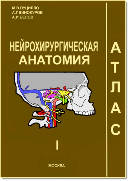 Нейрохирургическая анатомия