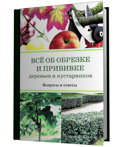 Все об обрезке и прививке деревьев и кустарников