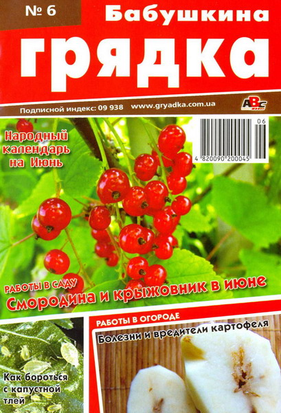 Бабушкина грядка №6 (июнь 2012)