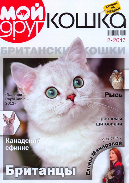 Мой друг кошка №2 (2013)