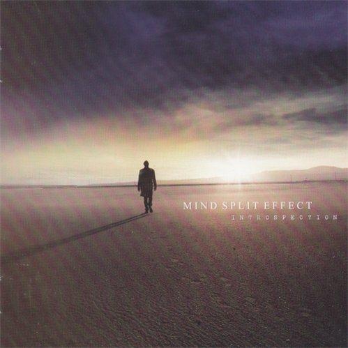 Mind Split Effect - Introspection (2011)