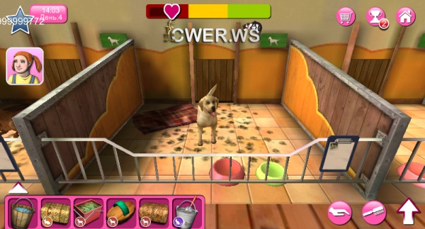 PetWorld 3D: приют для зверей