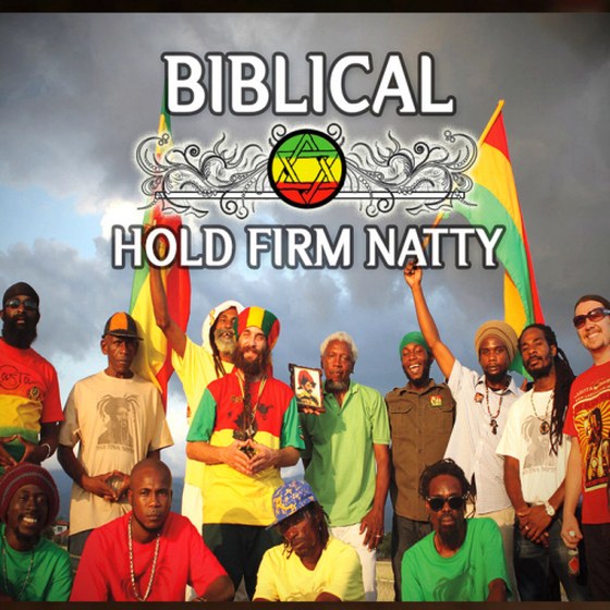 Biblical. Hold Firm Natty (2014)