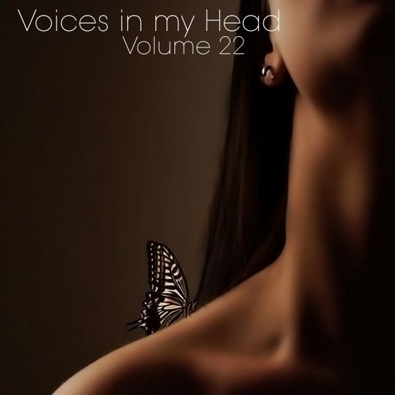 скачать Voices in my Head Volume 22 (2011)