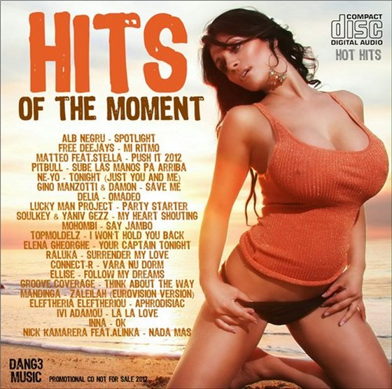 скачать Hits Of The Moment (2012)