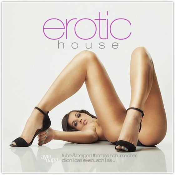 Erotic House (2013)