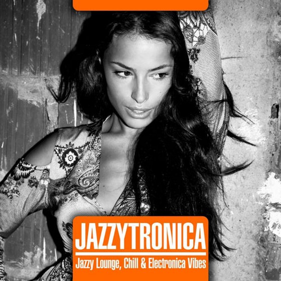 Jazzytronica (2013)