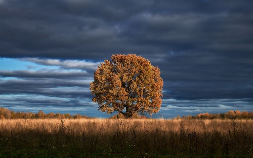 Computer Desktop Wallpapers Collection. www.cwer.ru