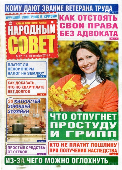 Народный совет 42 2015