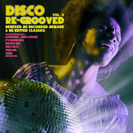 Disco Re Grooved Vol.2 