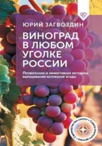 Виноград в любом уголке России