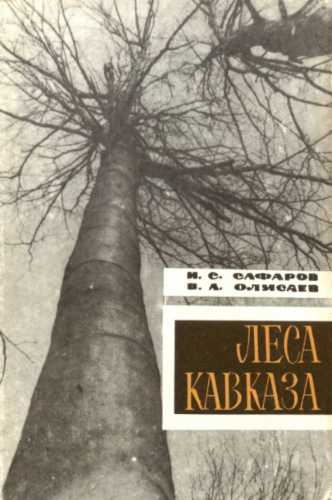 Леса Кавказа