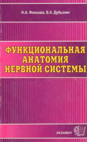 Функциональная анатомия нервной системы