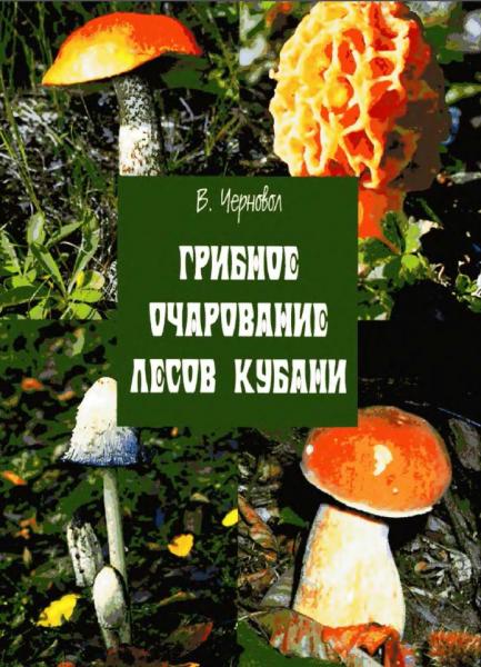 В. Черновол. Грибное очарование лесов Кубани