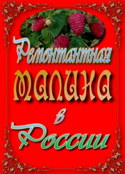 И.В. Казаков. Ремонтантная малина в России