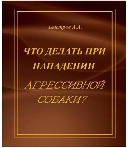 А.А. Быстров. Что делать при нападении агрессивной собаки?