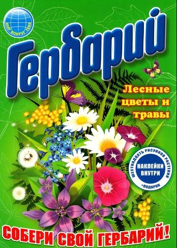 Гербарий. Лесные цветы и травы