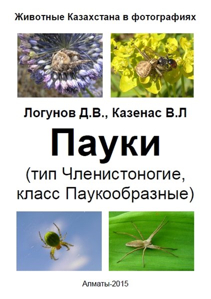 Д.В. Логунов. Пауки