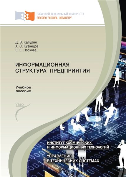 Д.В. Капулин. Информационная структура предприятия