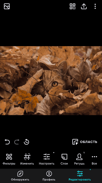 Polarr Pro 6.6.3