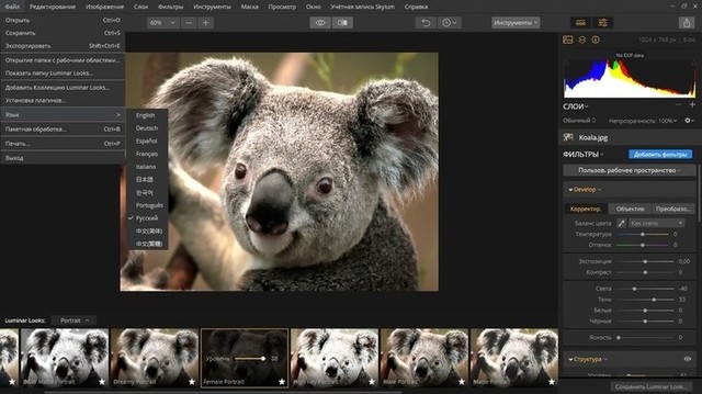 Luminar Flex 1.0.0.2822