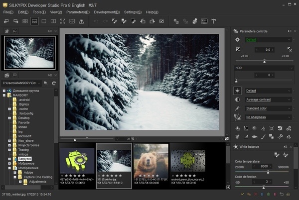 SILKYPIX Developer Studio Pro 8.0.3.0