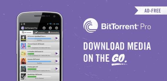 BitTorrent Pro