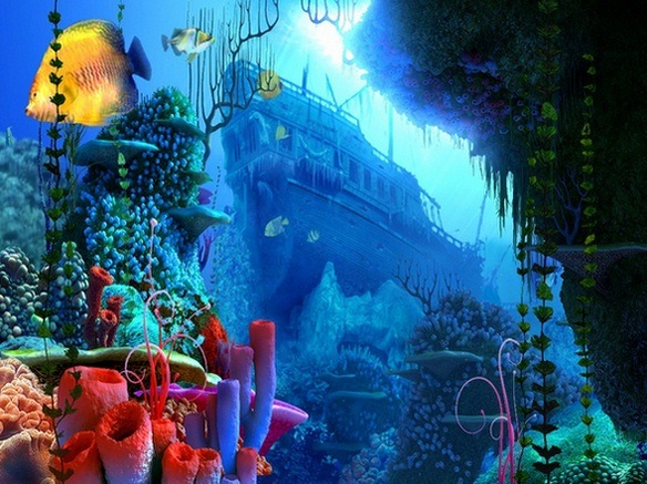 Coral Reef 3D Screensaver