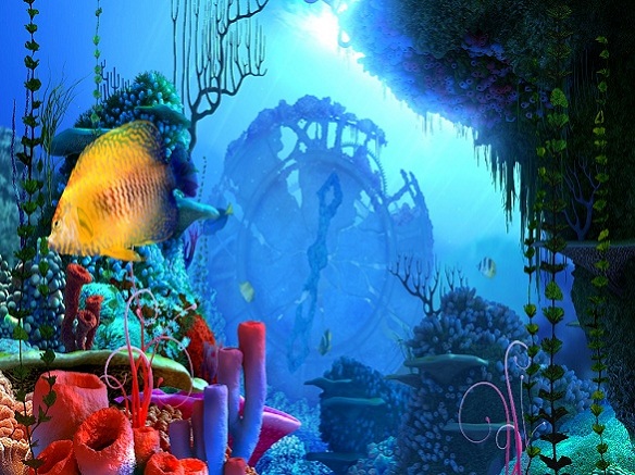 Coral Clock 3D Screensaver