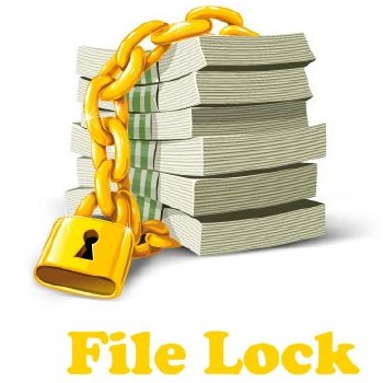 File Lock