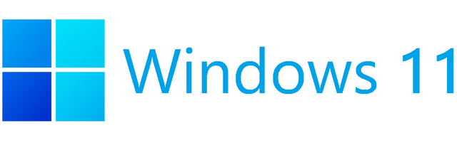 Windows 11 