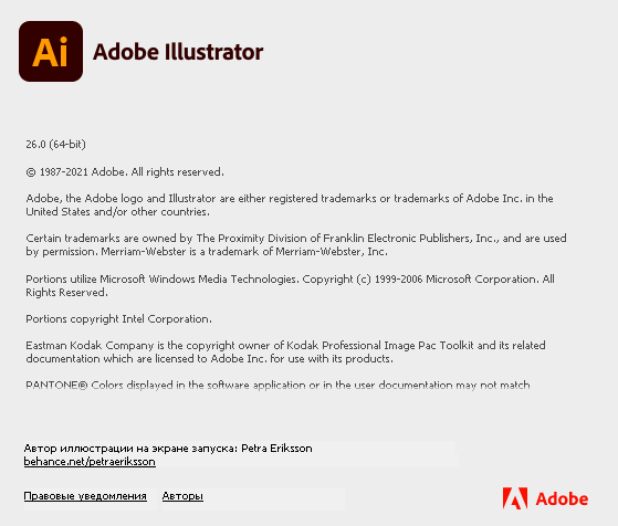 Adobe Illustrator 2022