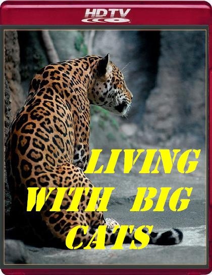 Living with Big Cats