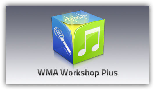 WMA Workshop Plus