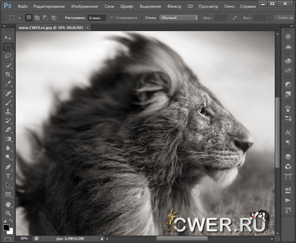 Adobe Photoshop CS6